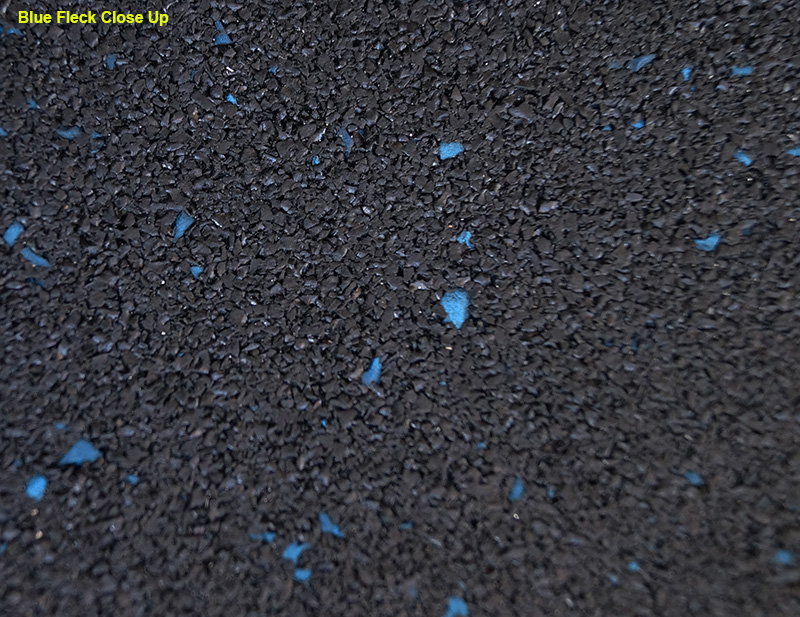 BLUE-FLECK-WS